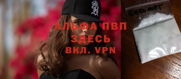 стаф Липки