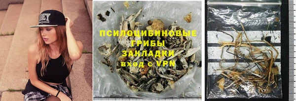 стаф Липки