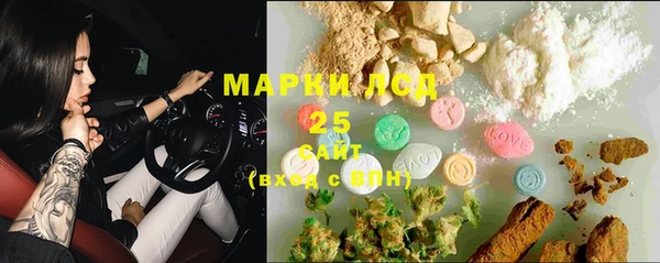 стаф Липки