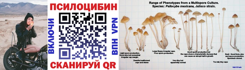 купить   Усолье  Псилоцибиновые грибы ЛСД 